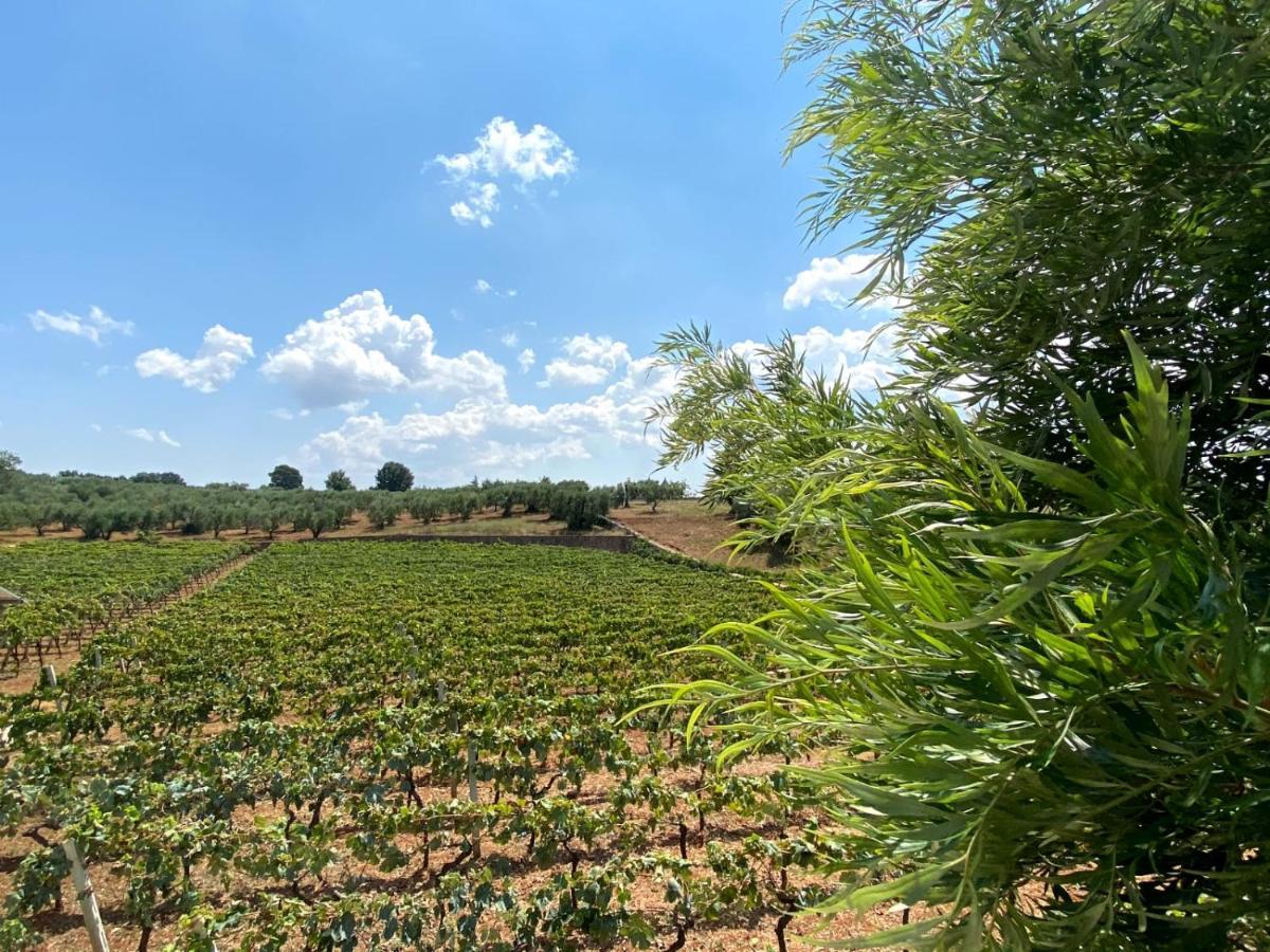 Tenuta Montanaro Locorotondo Luaran gambar