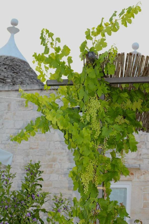Tenuta Montanaro Locorotondo Luaran gambar